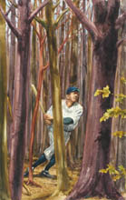 Babe in the Woods II